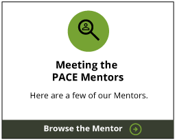 meeting-mentor-btn
